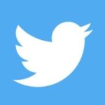 Twitter Bird