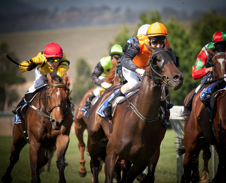 Horse Racing