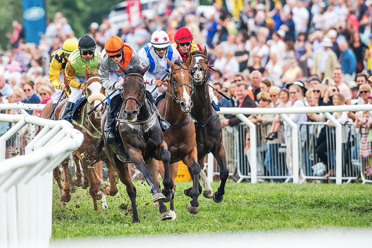 crowds-watching-horse-racing