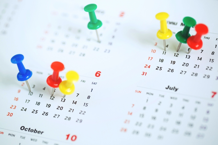 Pins in Calendar