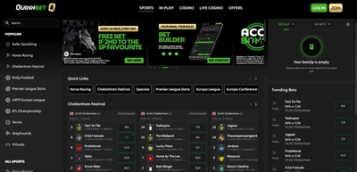 Quinnbet Interface